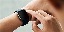 EPT電池品質(zhì)高，鎳氫和鋰電都表現(xiàn)不俗